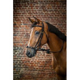 Adjustable Drop Noseband Bridle Brown Full D Collection