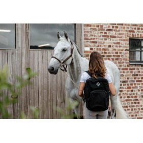 Kentucky backpack