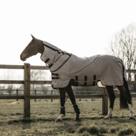 Kentucky Mesh Fly Rug