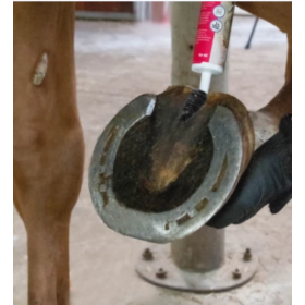 Equi Hoof Zinc Paste