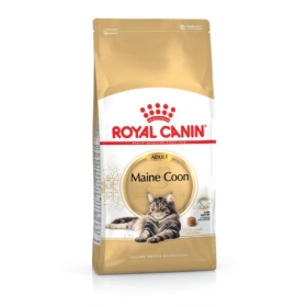 Royal Canin Maine Coon kassitoit 
