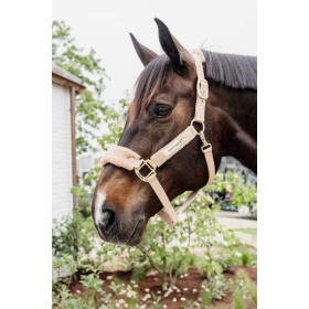 Kentucky teddy fleece halter