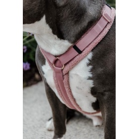 Dog Harness active teddy fleece