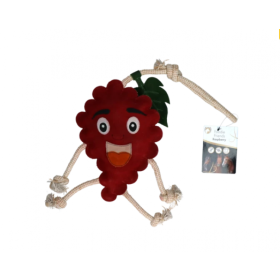  EXCELLENT toy rasberry