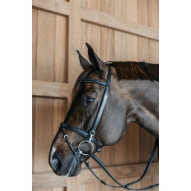 Dyon Training Bridle