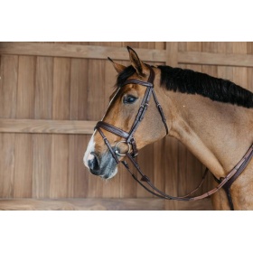 Dyon Plaited Flash Noseband Bridle with Pull back