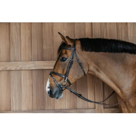 Dyon Flash Noseband Bridle with Snap Cheekpieces