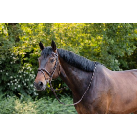 Ikonic Evolution Bridle Anatomic Noseband