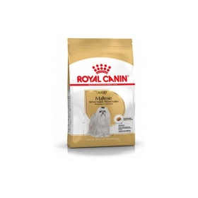 Royal Canin MALTESE ADULT 500G