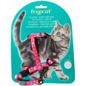 FREECAT KASSI TRAKSID+JALUTUSRIHM ROOSA