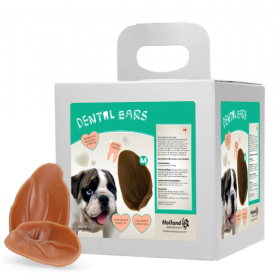 Dental Ears 1tk