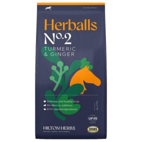 HILTON HERBS Kurkum & ingver 2kg