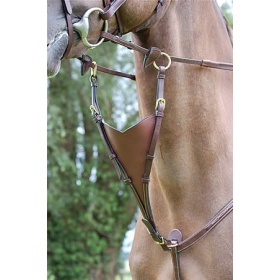 Dyon martingal attachment 