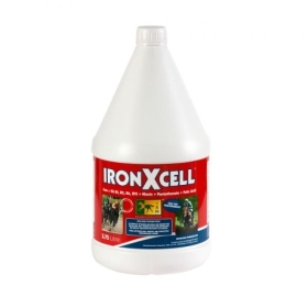 TRM IRON X CELL 3,75L