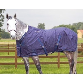 Dyon summer rug navy