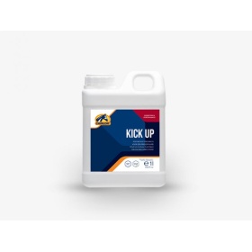 Cavalor täiendsööt Kick Up 1000ml