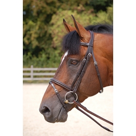 Dyon bridles Classic with flash noseband