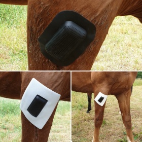 Rheva haavakaitse 2 x S (7 x 5 cm) and 2 x L (10 x 7 cm