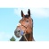 bridon-calgary-muserolle-croisee.jpg bridon-calgary-muserolle-croisee.jpg