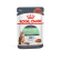 fcn22_-_digestive_care_-_gravy_-_packshot_pouch_-_b1_med.png