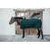 Kentucky 4D spacer Cooler tekk pine green