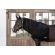 Kentucky talve sall full Kentucky talve sall full