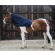 Kentucky fliisist cooler sall full