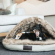 Kentucky Dog bed Igloo M 95cm