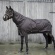 23995-23995_62fcfc700bad34.33852878_kentucky-horsewear-all-weather-pro-turnout-rug-160-g-brown-766012-en_large.jpg