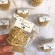 29426-29426_673f571d291ee1.75684102_cupcake-digestion-1-min-600x600_large.jpg