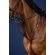 Dyon elastne martingalikahvel (US Jumping)